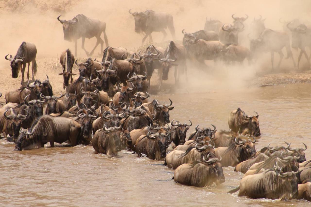 Gnu Mara River Camp Serengeti Exterior photo