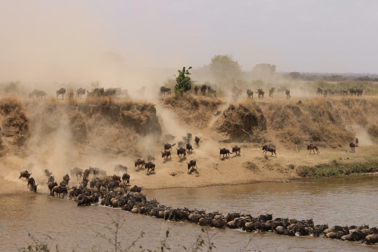 Gnu Mara River Camp Serengeti Exterior photo
